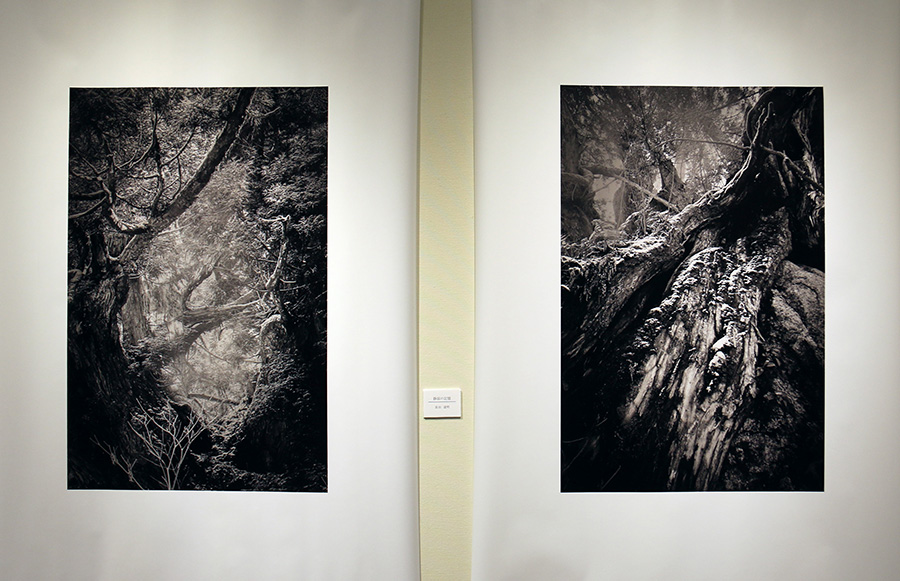 千古の軌跡|長田　達明