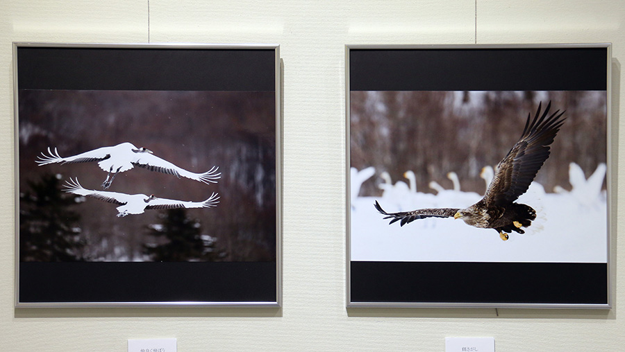 餌さがし|永山　勝久