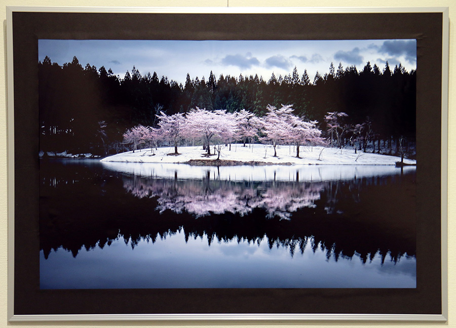 春の訪れ|木内　樹